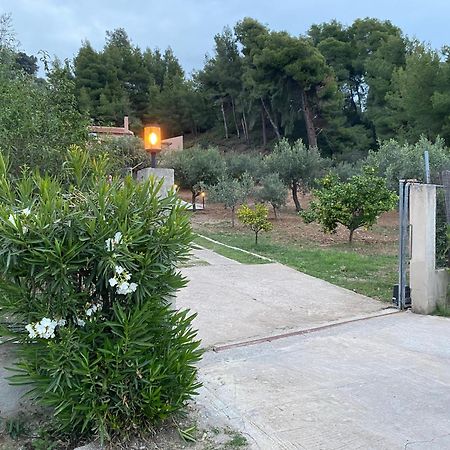 Askalosia Villa Agios Georgios  Exterior foto