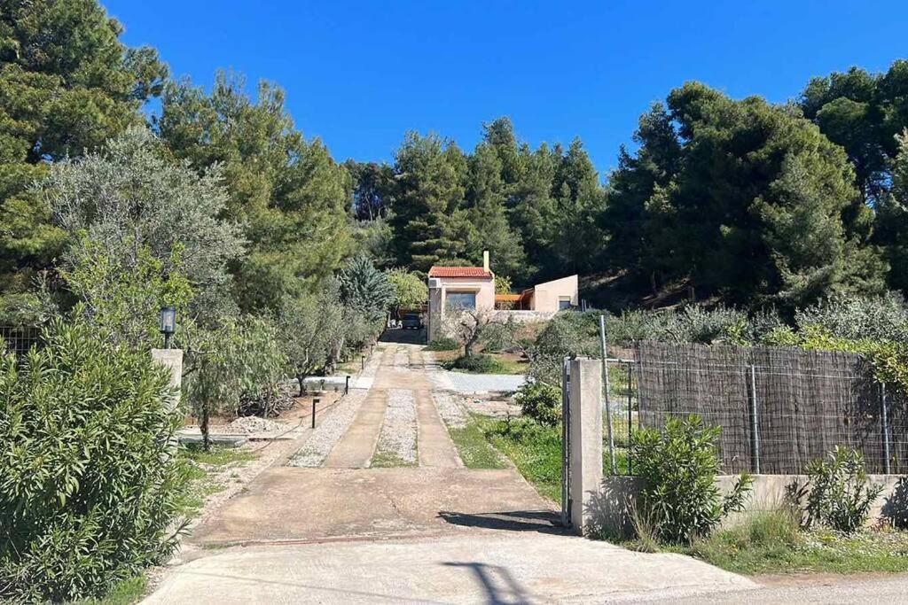 Askalosia Villa Agios Georgios  Exterior foto