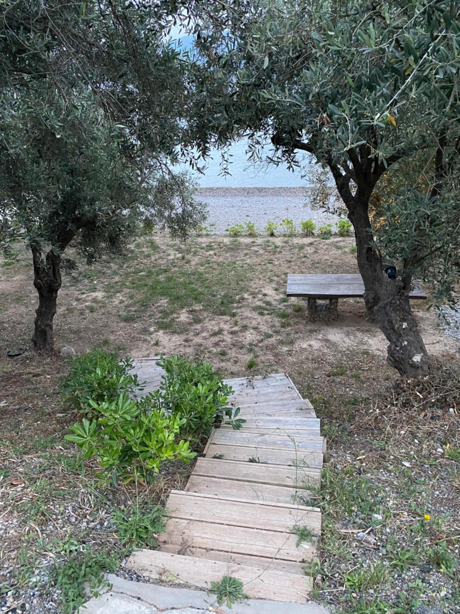 Askalosia Villa Agios Georgios  Exterior foto