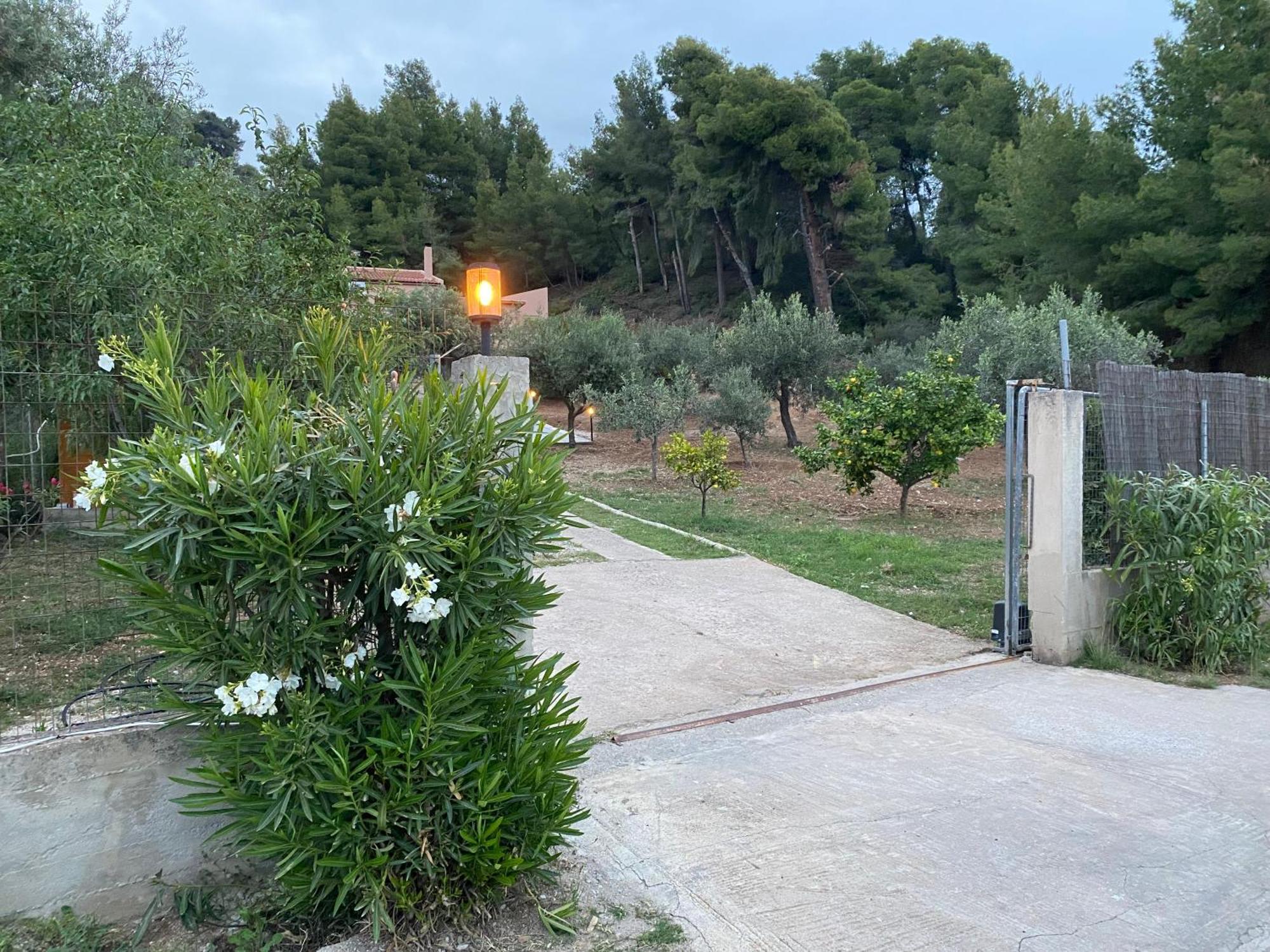 Askalosia Villa Agios Georgios  Exterior foto