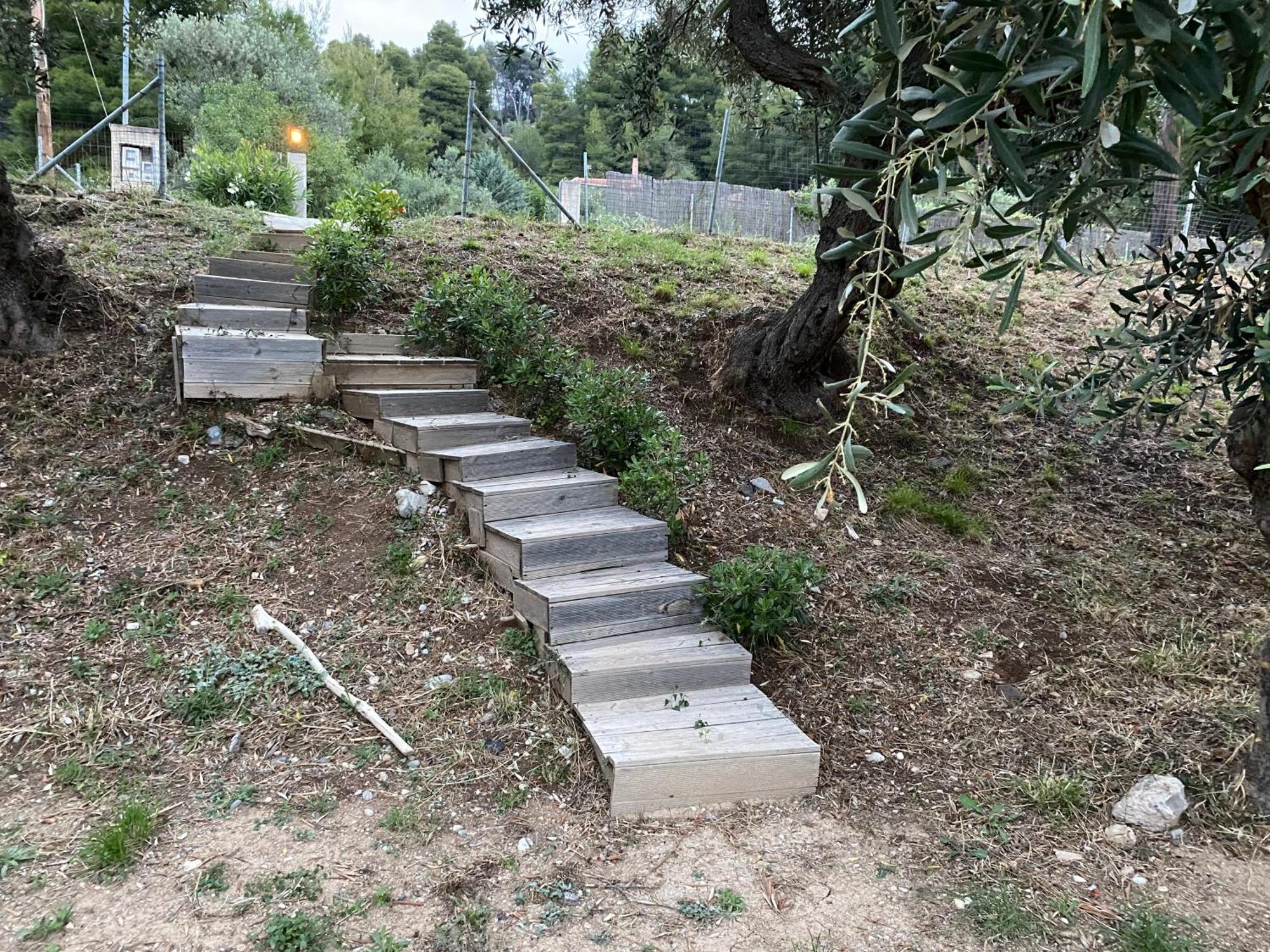 Askalosia Villa Agios Georgios  Exterior foto